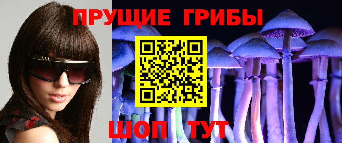 Галлюциногенные грибы прущие грибы  Вход с VPN  Псилоцибиновые грибы мухоморы  Вятские Поляны 